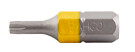 Bit-Box Sticky TX10 x 25mm