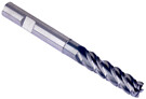 Trochoid varsijyrsin 12x100mm