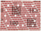 Tarraliu Ultimax Ligno 81x133mm 220