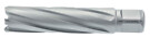 TCT Reikäjyrsin Weldon 12/80 mm