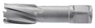 Carbide Max Reikäjyrsin 45 X 55 mm