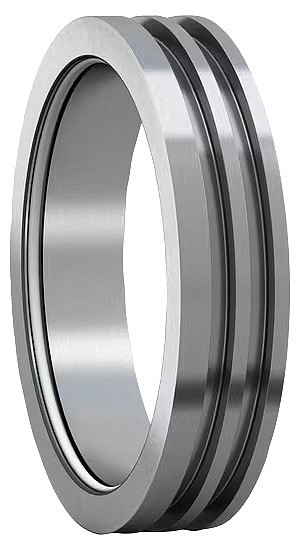TS 56 Laakeripesän tiiviste SKF