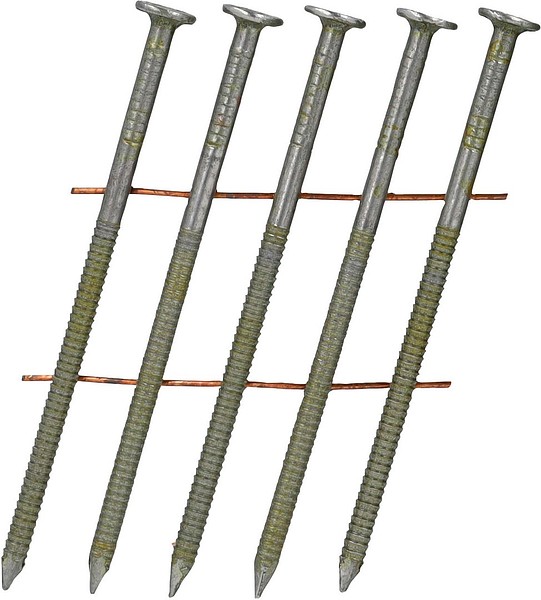 Rullanaula 16° 65x2,5 LS K kampa SENCO BL25APBF 7425 kpl