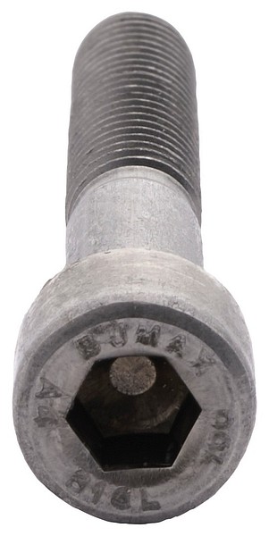 Insexskruvar ISO 4762 A4 BUMAX109  