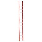 Single section ladder 12 steps