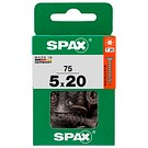 SPAX Countersunk BLAX TX20 5,0x20
