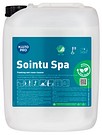 Kiilto Pro Sointu Spa 20L