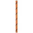 Rep PETZL Axis 11mm 200m