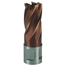 Hålfräs 20,0mm PerforMAX HSS